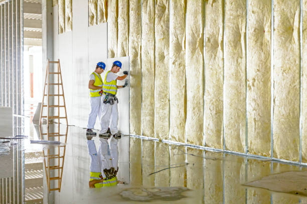 Professional Insulation Contractor in Chillicothe, IL